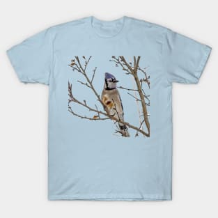 Blue Jay T-Shirt